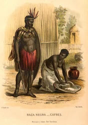 New Universal Geography